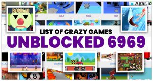 Read more about the article List of Crazy Games Unblocked 6969