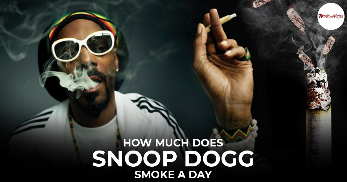 You are currently viewing How Much Does Snoop Dogg Smoke a Day?