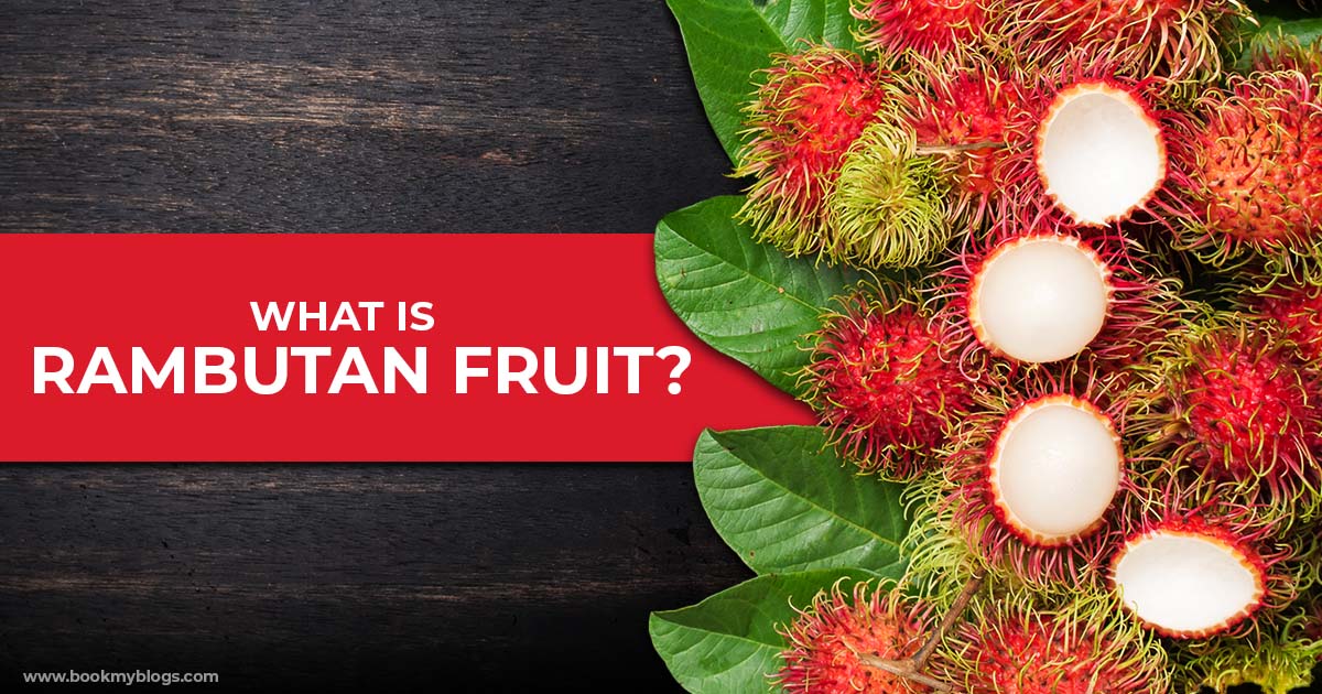 You are currently viewing What Is Rambutan Fruit?