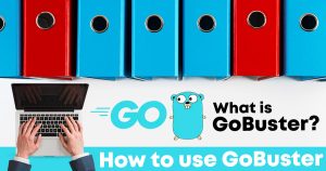 Read more about the article What is Gobuster? How to Use It and Find Hidden Directories?