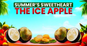 Read more about the article Your Summer’s Sweetheart: Exclusive Benefits of Ice Apple