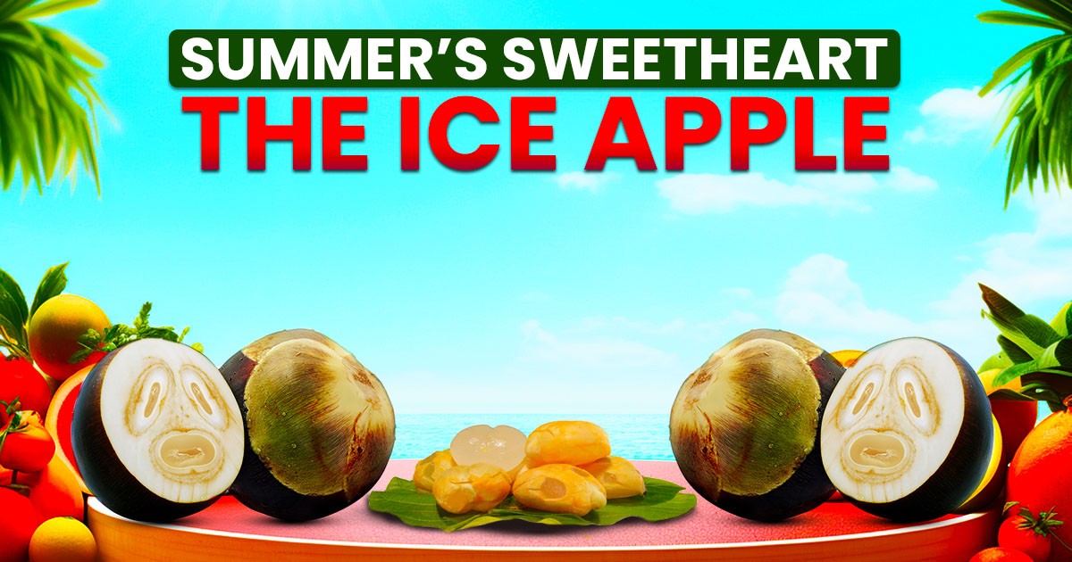 You are currently viewing Your Summer’s Sweetheart: Exclusive Benefits of Ice Apple
